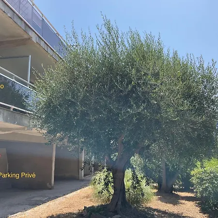 Le Brusc Port Plages Parking Prive Six-Fours-les-Plages